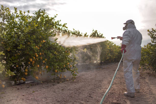 Best Pest Prevention Services  in Anna, TX