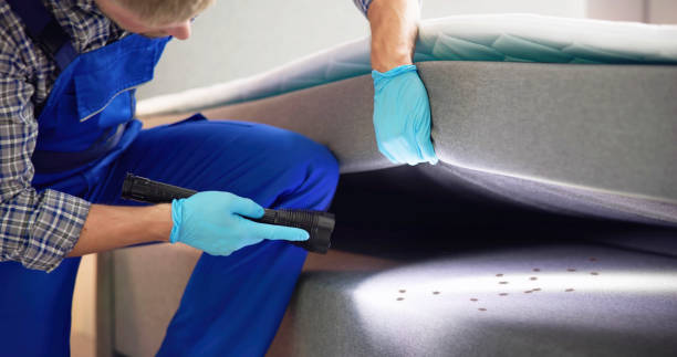 Best Local Pest Control Services  in Anna, TX
